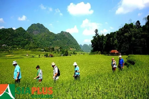 Circuit Vietnam 15 jours : Hanoi - Hoa Binh - Mai Chau - Hua Tat - Nghia Lo - Mu Cang Chai - Sa Pa - Ninh Binh - Baie d'Halong